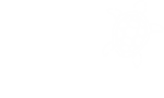 TurtleConsult